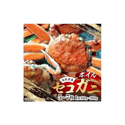 ふるさと納税 カニ ずわいガニ 鳥取県 智頭町 鳥取県産 ボイルセコガニ大 5〜7枚(1枚:180〜200g) 1536356