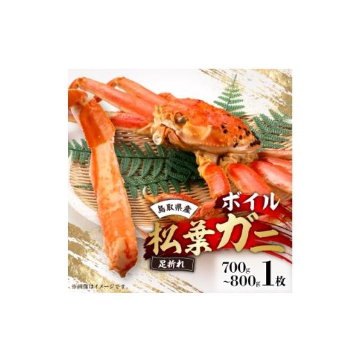 ふるさと納税 カニ ずわいガニ 鳥取県 智頭町 鳥取県産 厳選 ボイル足折松葉ガニ大1枚(700〜800gサイズ) 1536357