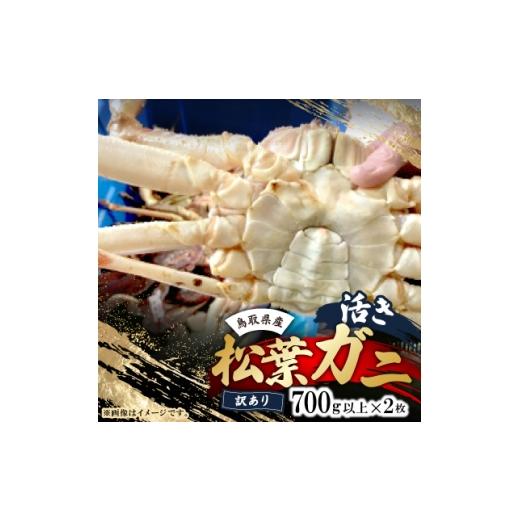 ふるさと納税 カニ ずわいガニ 鳥取県 智頭町 鳥取県産 活 松葉ガニ訳あり 700g以上×2枚セット 1536360