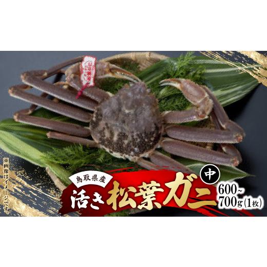 ふるさと納税 カニ ずわいガニ 鳥取県 智頭町 活 鳥取県産タグ付き松葉ガニ中1枚(600g〜700g) 1536361