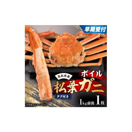 ふるさと納税 カニ ずわいガニ 鳥取県 智頭町 早期受付 鳥取県産タグ付きボイル松葉ガニLL 1枚 2026/10/31までのお申し込み分 1536365