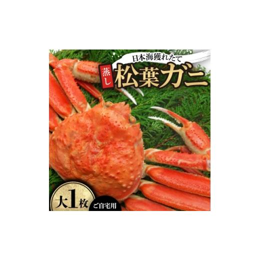 ふるさと納税 カニ 鳥取県 智頭町 先行予約 蒸し ご自宅用日本海獲れたて松葉ガニ 大 1枚 11月中旬から順次発送 1536860