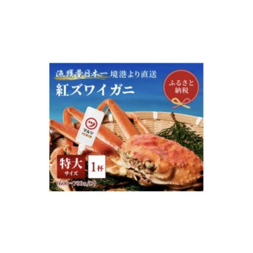 ふるさと納税 カニ ずわいガニ 鳥取県 智頭町 蟹セレブ ズワイガニ(紅ズワイガニ)特大1杯(600〜700g×1) 1543622