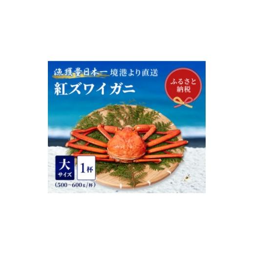 ふるさと納税 カニ ずわいガニ 鳥取県 智頭町 蟹セレブ ズワイガニ(紅ズワイガニ)大1杯(500〜600g×1) 1543623