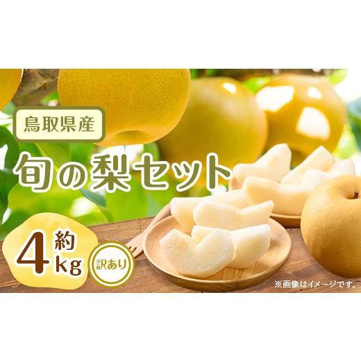 ふるさと納税 梨 鳥取県 智頭町 訳あり 鳥取県産旬の梨セット 4kg 1554510