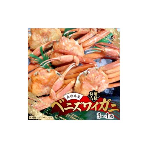 ふるさと納税 カニ ずわいガニ 鳥取県 智頭町 鳥取境港産 特選A級ベニズワイガニ詰め合わせ(3〜4枚) 1565109