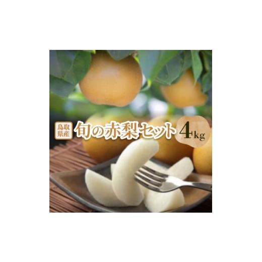 ふるさと納税 梨 鳥取県 智頭町 先行予約 品種はおまかせ 旬の赤梨セット 4kg 1593364