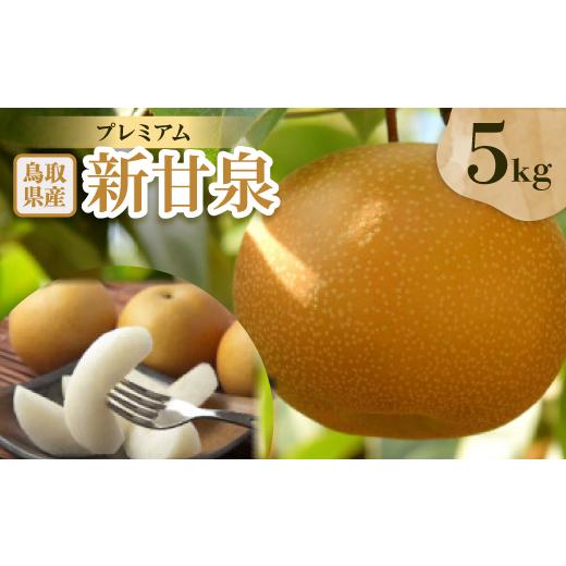 ふるさと納税 梨 鳥取県 智頭町 プレミアム新甘泉 5kg 1593371