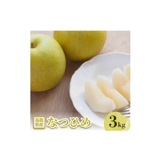 ふるさと納税 梨 鳥取県 智頭町 なつひめ 3kg 1593372