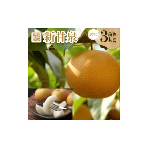 ふるさと納税 梨 鳥取県 智頭町 訳あり 新甘泉(しんかんせん) 3kg前後 1593377