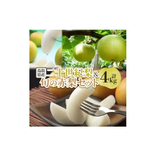 ふるさと納税 梨 鳥取県 智頭町 二十世紀梨と旬の赤梨セット 4kg 1593378