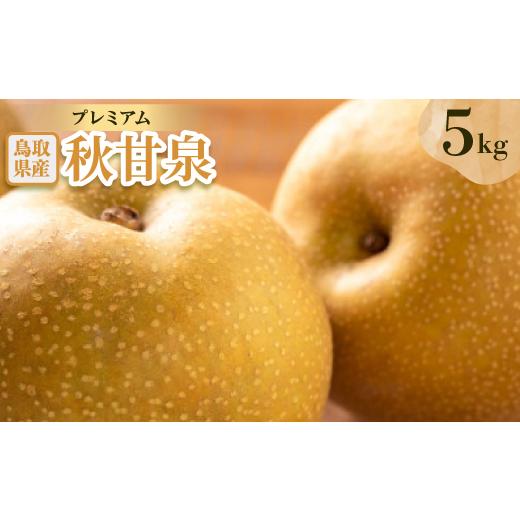 ふるさと納税 梨 鳥取県 智頭町 プレミアム秋甘泉 5kg 1593382