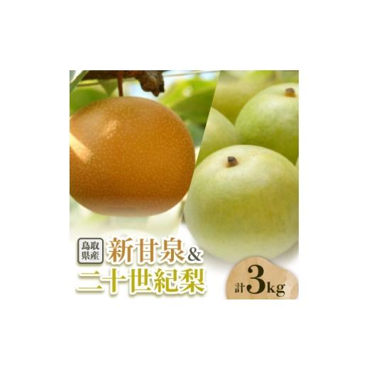 ふるさと納税 梨 鳥取県 智頭町 二十世紀梨と新甘泉のセット 3kg 1593387