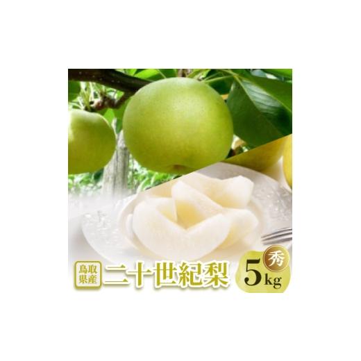 ふるさと納税 梨 鳥取県 智頭町 二十世紀梨 秀5kg 1593390