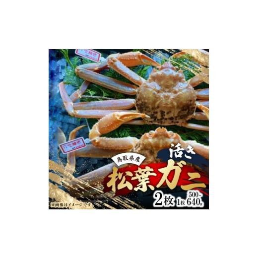 ふるさと納税 カニ 鳥取県 智頭町 先行予約 活き タグ付き松葉ガニ 中2枚(500〜640g前後/枚) 11月中旬から順次発送 1596415
