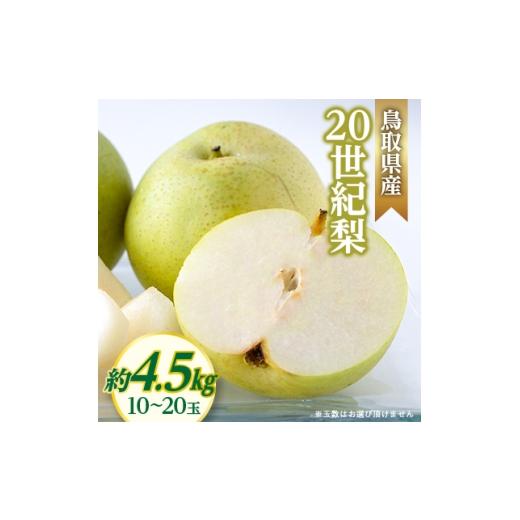ふるさと納税 梨 鳥取県 智頭町 20世紀梨 1601515