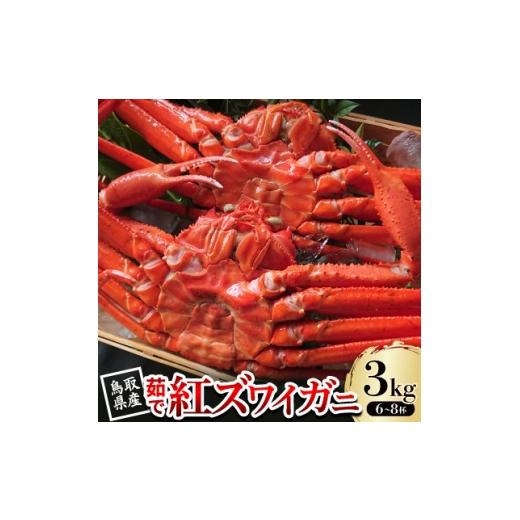 ふるさと納税 カニ ずわいガニ 鳥取県 智頭町 先行予約 鳥取県産 茹で紅ズワイガニ 3kg(6〜8杯) 2025年9月〜2026年5月発送 1631250