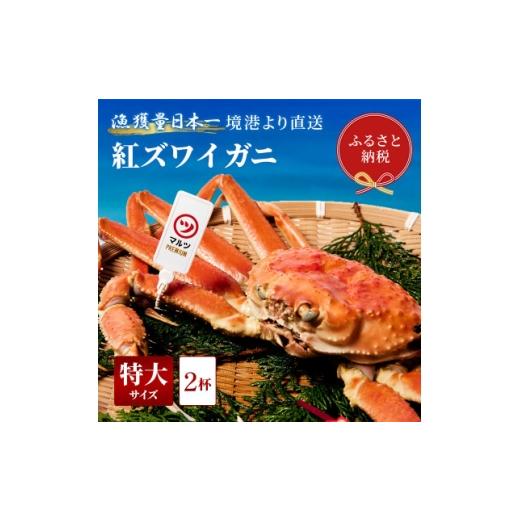 ふるさと納税 カニ ずわいガニ 鳥取県 智頭町 蟹セレブ ズワイガニ(紅ズワイガニ)特大2杯(600〜700g) 1634139