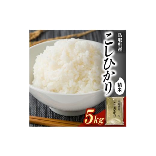 ふるさと納税 米 鳥取県 智頭町 食味鑑定士厳選 鳥取県産 コシヒカリ5kg(5kg×1袋) 精米 1644312