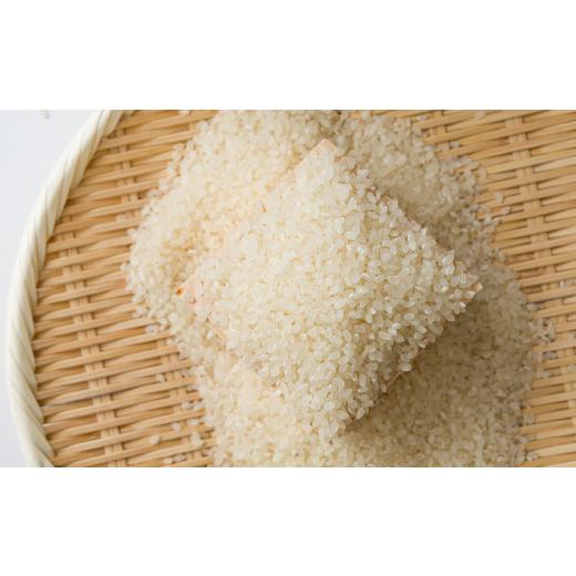 ふるさと納税 米 鳥取県 智頭町  食味鑑定士厳選 鳥取県産 コシヒカリ20kg(5kg×4袋) 精米 1644339の画像