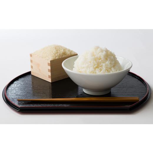 ふるさと納税 米 鳥取県 智頭町  食味鑑定士厳選 鳥取県産 コシヒカリ20kg(5kg×4袋) 精米 1644339の画像