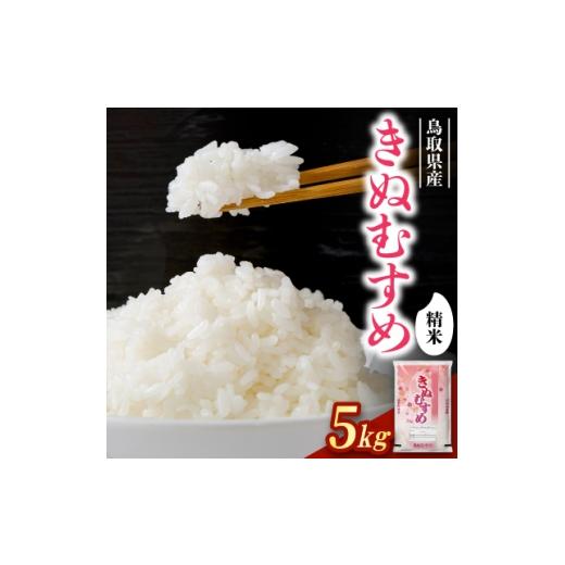 ふるさと納税 米 鳥取県 智頭町 食味鑑定士厳選 鳥取県産 きぬむすめ5kg(5kg×1袋) 精米 1644346