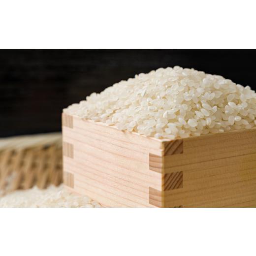 ふるさと納税 米 鳥取県 智頭町  食味鑑定士厳選 鳥取県産 きぬむすめ20kg(5kg×4袋) 精米 1644356の画像