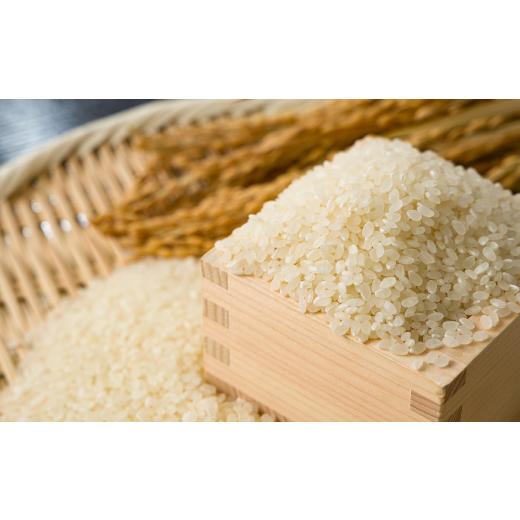 ふるさと納税 米 鳥取県 智頭町  食味鑑定士厳選 鳥取県産 きぬむすめ20kg(5kg×4袋) 精米 1644356の画像
