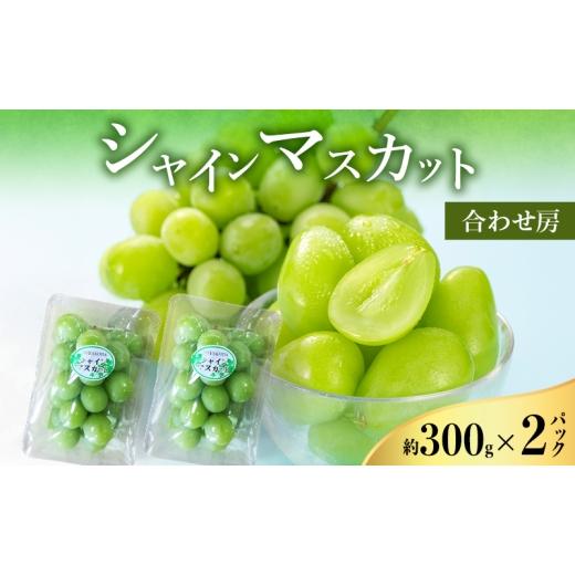 ふるさと納税 ぶどう マスカット 静岡県 浜松市 2026年8月より順次発送 シャインマスカット 約300g×2パック(計約600g) 合わせ房 若手農家応援 ぶどう ブド…