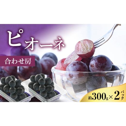 ふるさと納税 ぶどう 静岡県 浜松市 2026年8月より順次発送 ピオーネ 約300g×2パック(計約600g)合わせ房 若手農家応援 ぶどう ブドウ 果物 くだもの 旬の…
