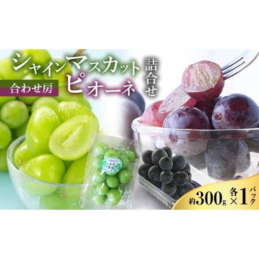 ふるさと納税 ぶどう マスカット 静岡県 浜松市 2026年8月より順次発送 シャインマスカット・ピオーネ詰合せ 約300g×各1パック(計約600g)合わせ房 若手農…