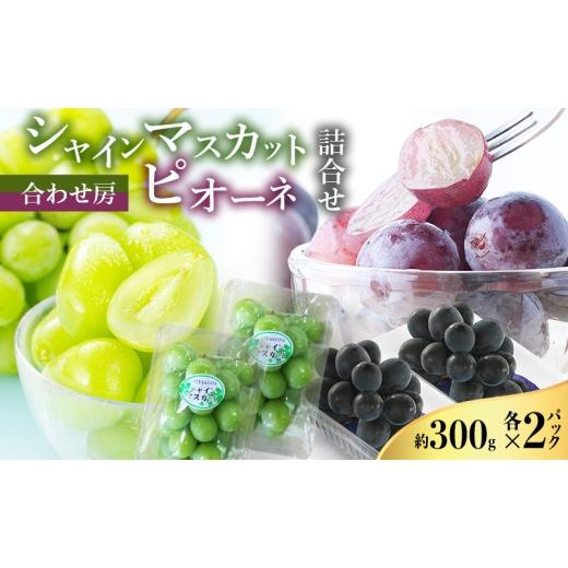ふるさと納税 ぶどう マスカット 静岡県 浜松市 2026年8月より順次発送 シャインマスカット・ピオーネ詰合せ 約300g×各2パック(計約1200g)合わせ房 若手農…