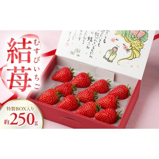 ふるさと納税 いちご 静岡県 浜松市 結苺(むすびいちご)約250g(6〜11粒) 特製BOX入り いちご イチゴ 苺 ストロベリー 果物 くだもの フルーツ ギフト プレ…