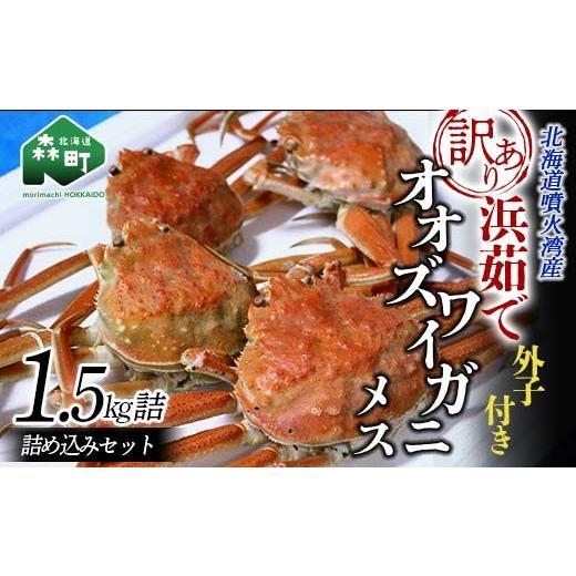ふるさと納税 カニ ずわいガニ 北海道 森町  訳あり 浜茹でオオズワイガニのメス（外子付き）1.5kg 詰め込みセット 北海道噴火湾産 道産ネットミツハシ かに …の画像