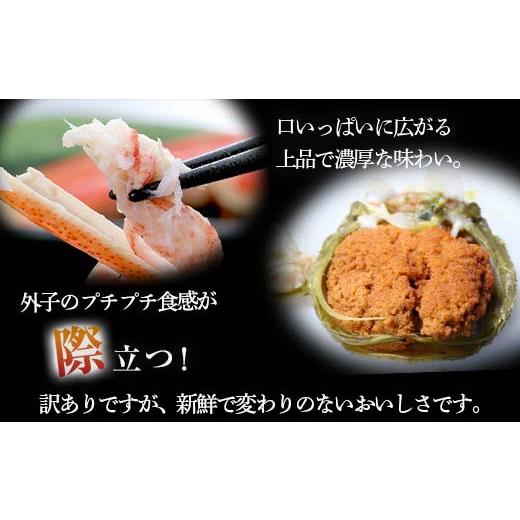 ふるさと納税 カニ ずわいガニ 北海道 森町  訳あり 浜茹でオオズワイガニのメス（外子付き）1.5kg 詰め込みセット 北海道噴火湾産 道産ネットミツハシ かに …の画像