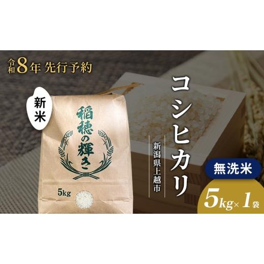 ふるさと納税 米 コシヒカリ 新潟県 上越市 先行予約 令和8年 新米 無洗米 新潟県上越市産 コシヒカリ 5kg 5キロ お米 コメ こしひかり 澤井商事