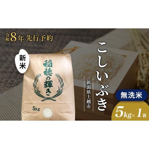 ふるさと納税 米 新潟県 上越市 先行予約 令和8年 新米 無洗米 新潟県上越市産 こしいぶき 5kg 5キロ お米 コメ 澤井商事