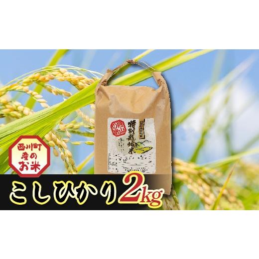 ふるさと納税 米 コシヒカリ 山形県 西川町 令和7年度 山形県西川町産 こしひかり 2kg 精米 白米 ブランド米 米 ご飯 ごはん 自宅用 家庭用 FYN6-554
