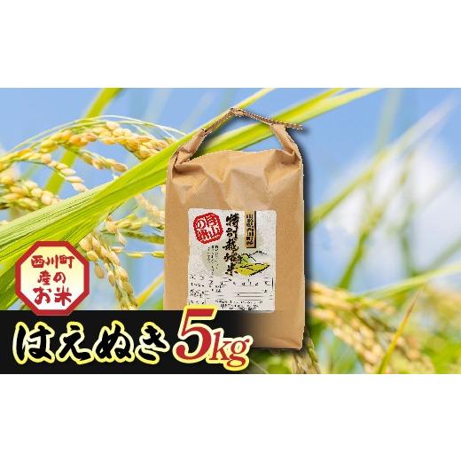 ふるさと納税 米 コシヒカリ 山形県 西川町 令和7年度 山形県西川町産 はえぬき 5kg 精米 白米 ブランド米 米 ご飯 ごはん 自宅用 家庭用 FYN6-557