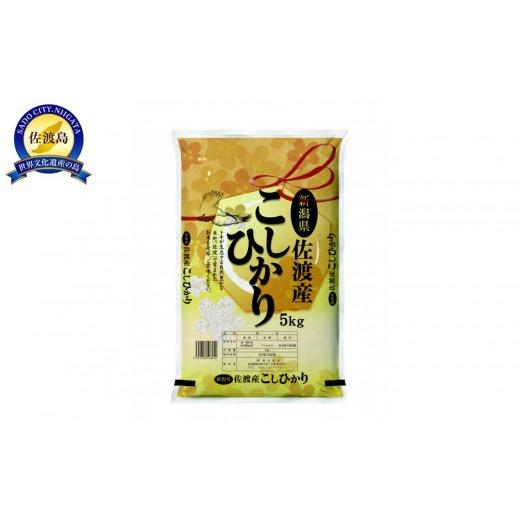 ふるさと納税 米 コシヒカリ 新潟県 佐渡市 先行予約 2ヶ月定期便 令和8年産新米佐渡産コシヒカリ5kg