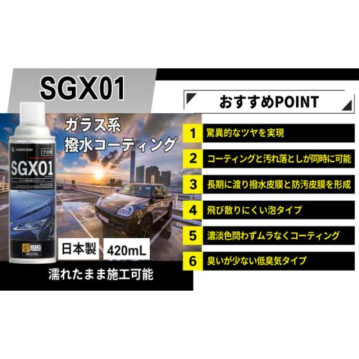 ふるさと納税 雑貨・日用品 兵庫県 小野市 ガラス系コーティング SGX01 業務用 420mL