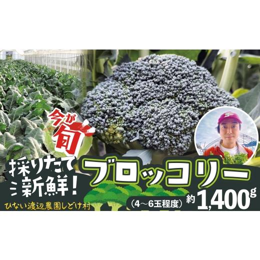 ふるさと納税 野菜類 秋田県 大館市 採りたて新鮮 ブロッコリー 約1400g / 東北 秋田 大館 新鮮 農産物 農家 野菜 ブロッコリー 農産物 産直 農家 …