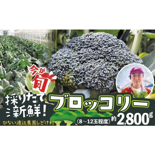 ふるさと納税 野菜類 秋田県 大館市 採りたて新鮮 ブロッコリー 約2800g 90P3212　／ 東北 秋田 大館 新鮮 農産物 農家 野菜 ブロッコリー 農産物 産直 農家 …_1