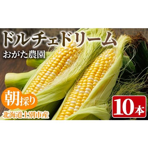 ふるさと納税 とうもろこし 北海道 士別市 スイートコーン ドルチェドリーム (10本) 2026年7月下旬以降発送予定 北海道産 北海道 士別市 バイカラー とうもろ…