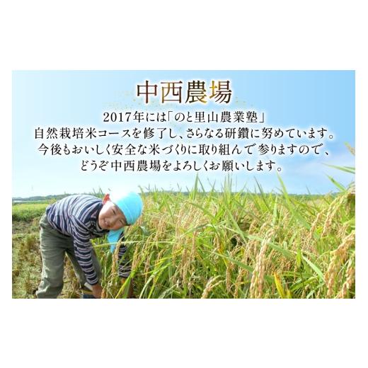 ふるさと納税 米 石川県 宝達志水町 米 定期便 ひゃくまん穀 「弘宝米」 精米 10kg ×3回 総計 30kg 中西農場 石川県 宝達志水町 38601370 お米 白米 ひゃくま…の画像