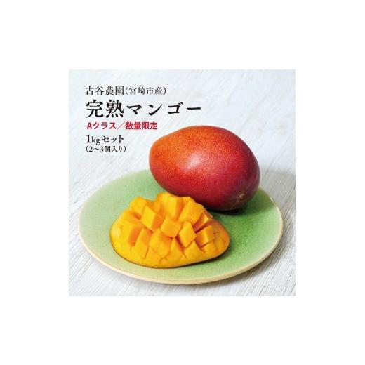 ふるさと納税 マンゴー 宮崎県 宮崎市 [2026年発送先行予約] 数量・期間限定 古谷農園の宮崎完熟マンゴー Aクラス 約1kg