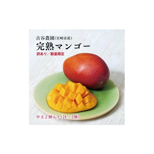 ふるさと納税 マンゴー 宮崎県 宮崎市 [2026年発送先行予約] 数量・期間限定 [訳あり]古谷農園の宮崎完熟マンゴー 中玉2個セット