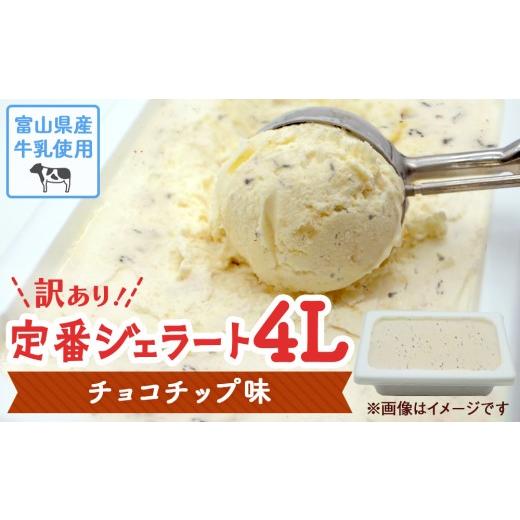 ふるさと納税 アイス・ヨーグルト ジェラート 富山県 氷見市 訳あり ジェラート 4L チョコチップ チョコチップ