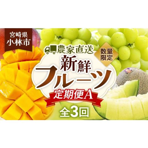 ふるさと納税 ぶどう マスカット 宮崎県 小林市 定期便 数量限定/契約農家直送の新鮮フルーツ定期便A(タカミメロン5キロ、完熟マンゴー大玉2玉、大房マスカ…