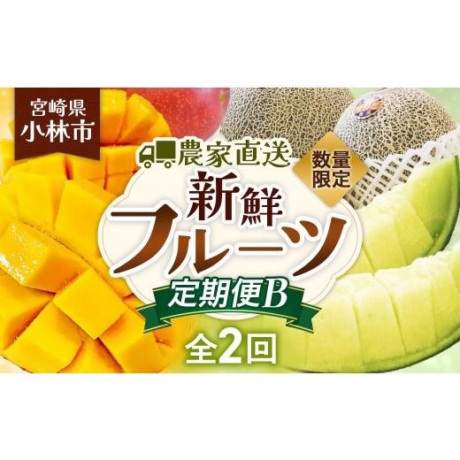 ふるさと納税 メロン 宮崎県 小林市 定期便 数量限定/契約農家直送の新鮮フルーツ定期便B(タカミメロン、完熟マンゴー3玉) 50セット メロン マンゴー フル…